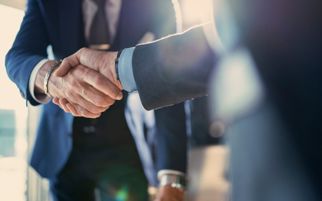 Quais os tipos de estrutura societária? Conheça cada uma delas